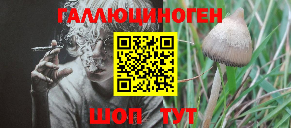 хочу наркоту  Псилоцибиновые грибы Psilocybe  Галлюциногенные грибы Psilocybine cubensis  Вход с VPN  Кстово 